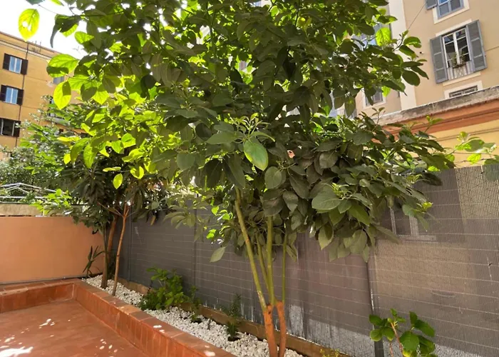 Avocado House - Cozy In The Heart Of *
