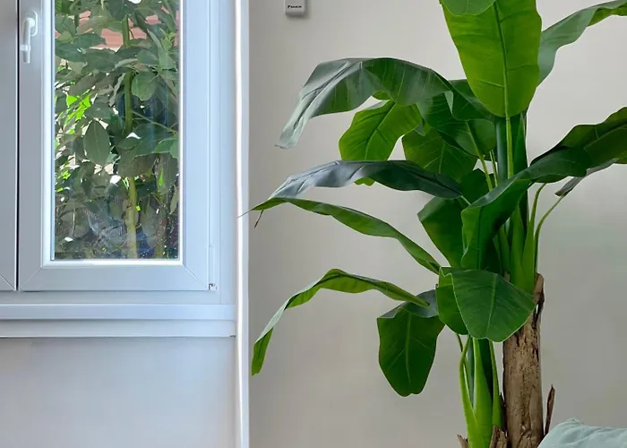 Avocado House - Cozy In The Heart Of Apartamento